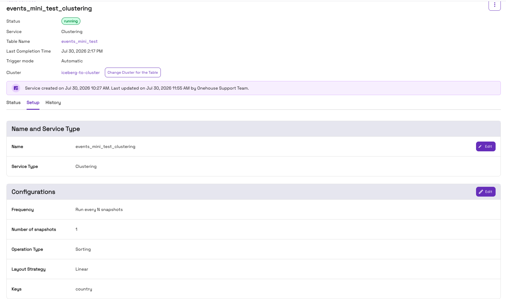 Setup tab of a clustering service on an Iceberg table