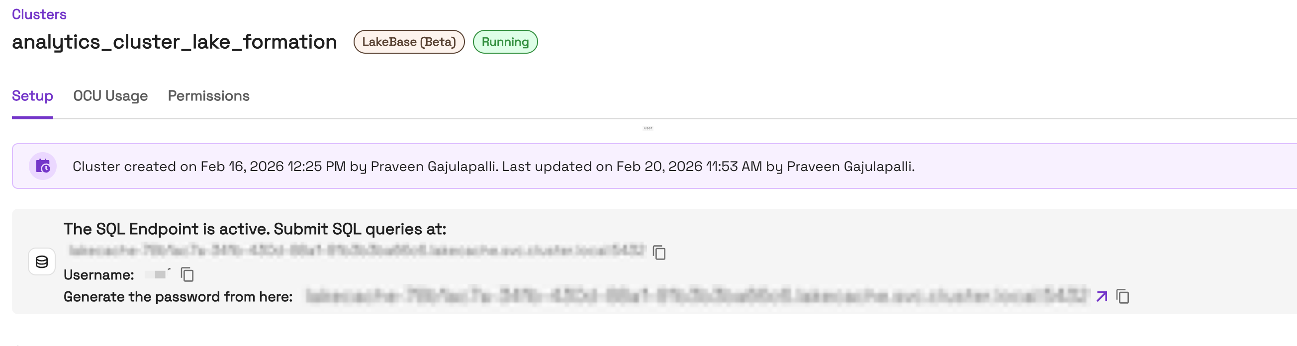 LakeBase connection detail with Lake Formation