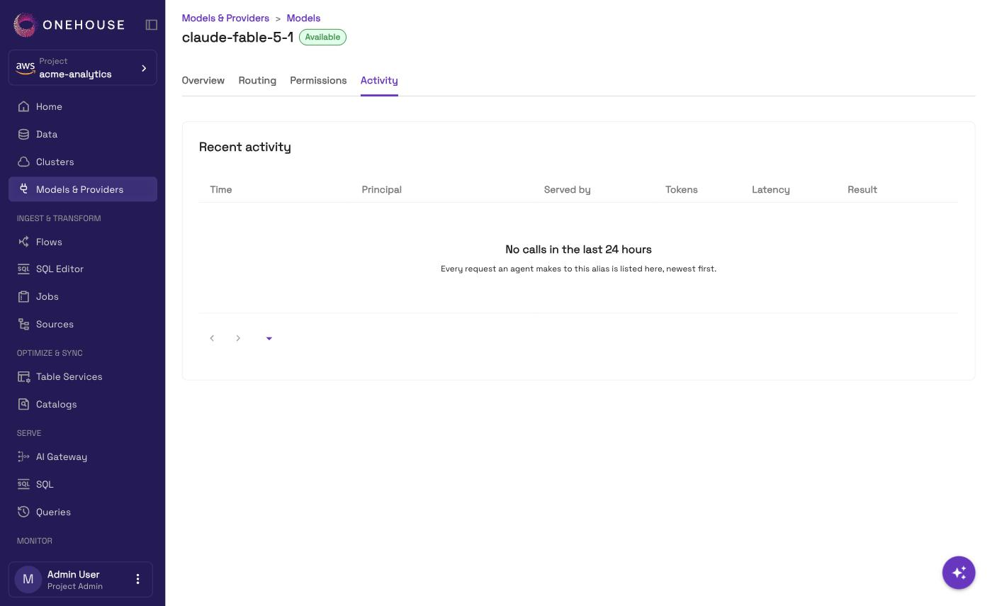 A model's Activity tab