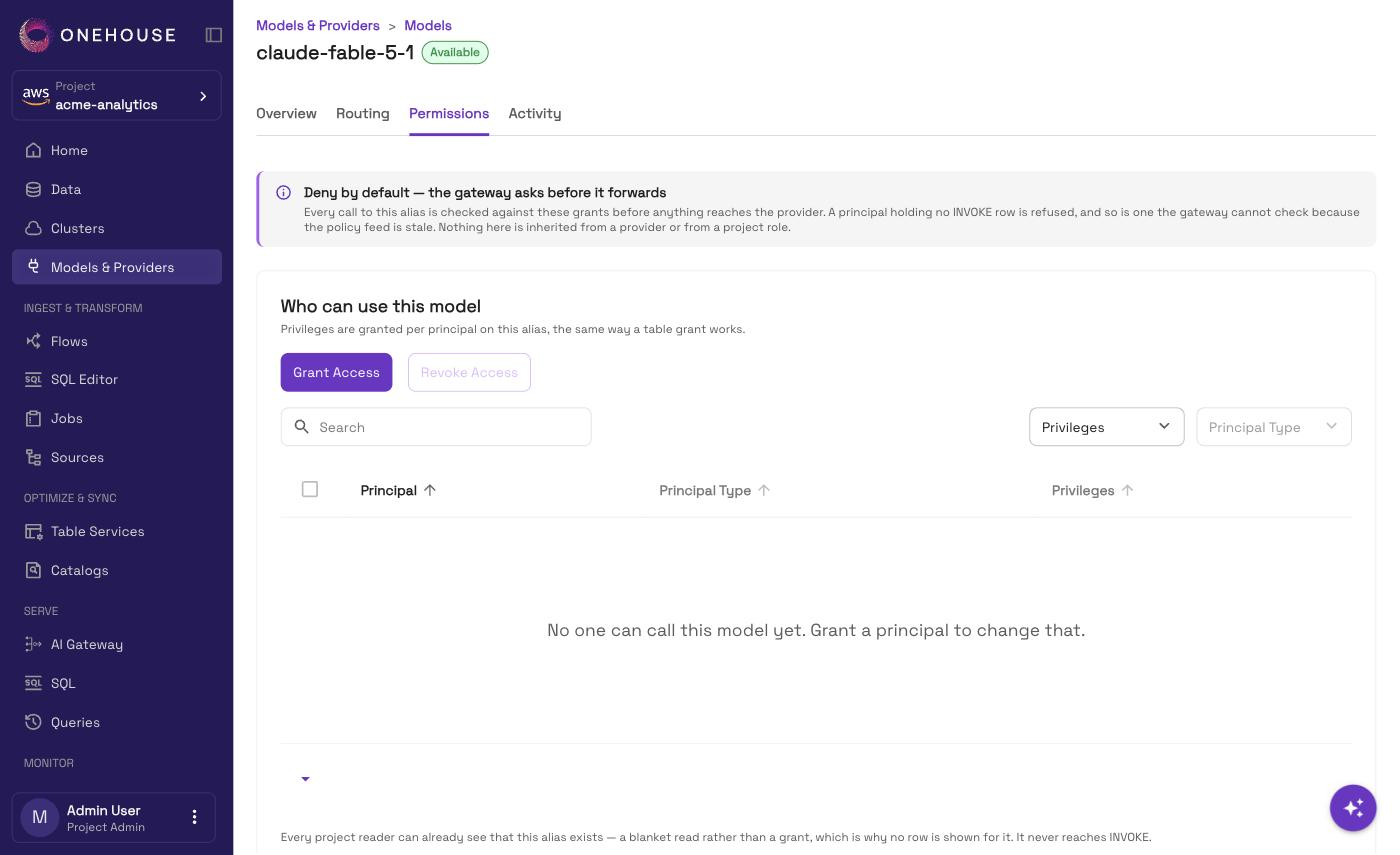 A model's Permissions tab listing allowed principals with the grant control