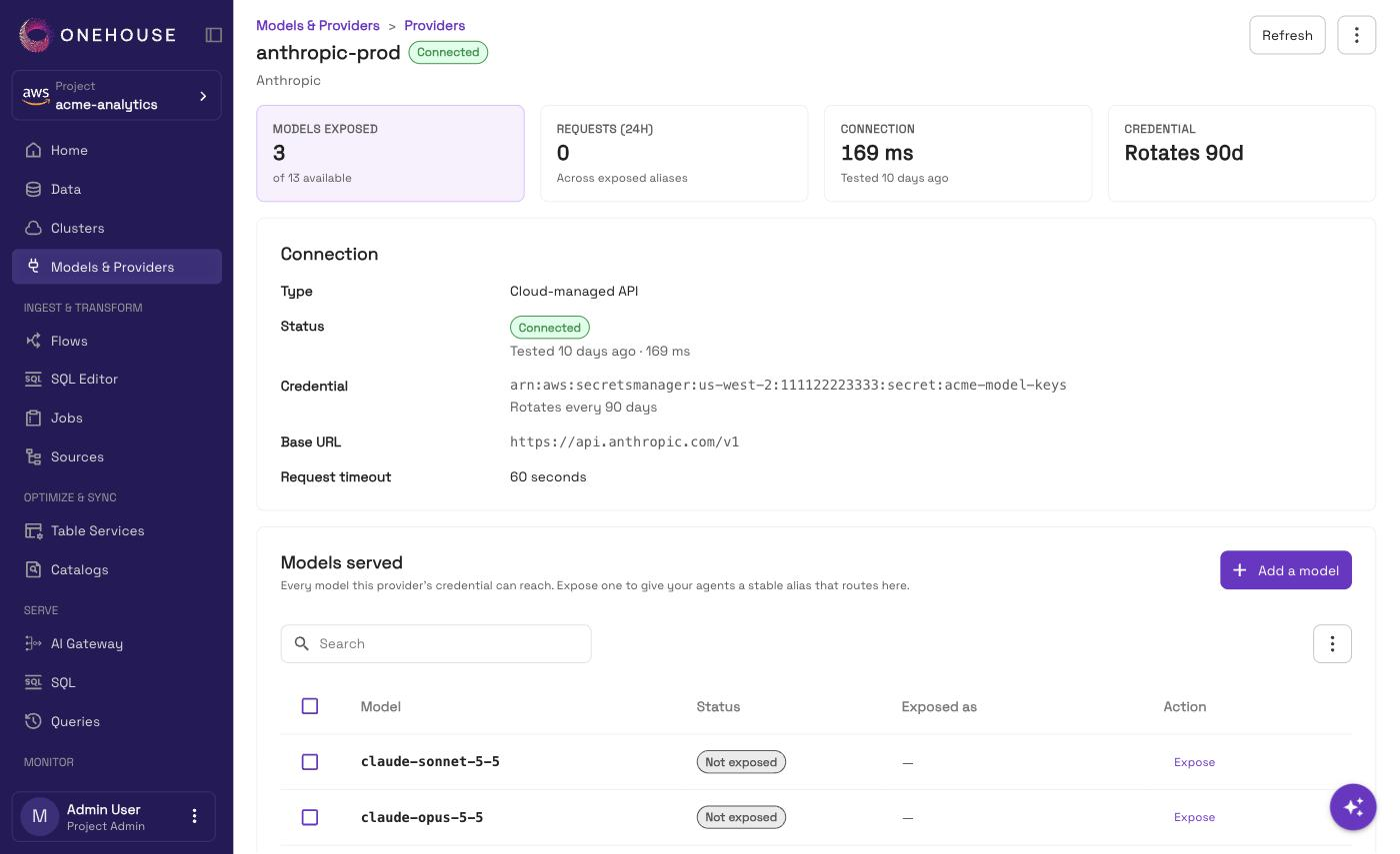 A provider detail page showing connection settings and the models it serves